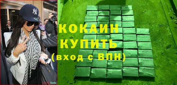 гашик Алексин