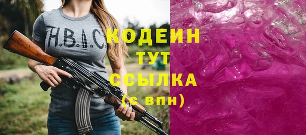 гашик Алексин