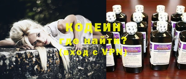 гашик Алексин