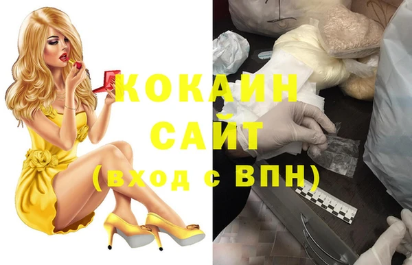гашик Алексин