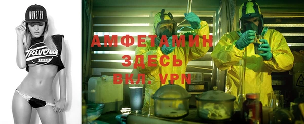 гашик Алексин
