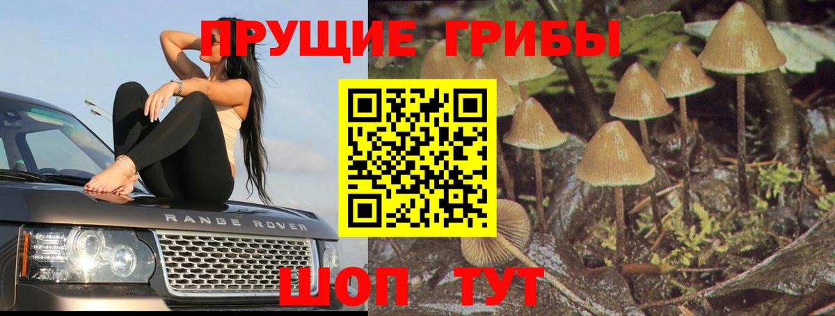 Выкса  Псилоцибиновые грибы мухоморы  Вход с VPN 