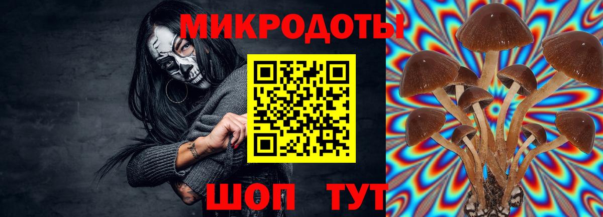 Галлюциногенные грибы мухоморы Выкса